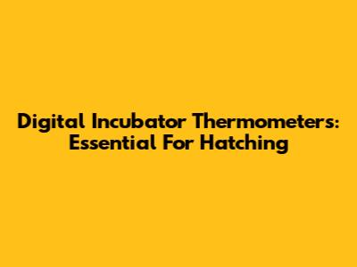 Digital Incubator Thermometers: Essential For Hatching